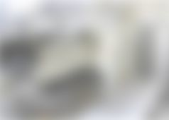 ダミー写真1